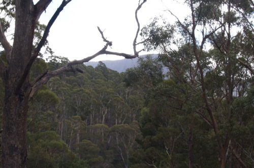 Photo 54 - Craggy Peaks