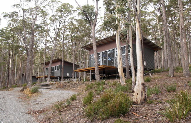 Craggy Peaks Wilderness Cabins - Foto 65