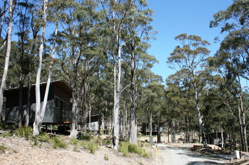 Foto 63 - Craggy Peaks Wilderness Cabins