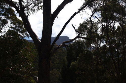 Photo 53 - Craggy Peaks