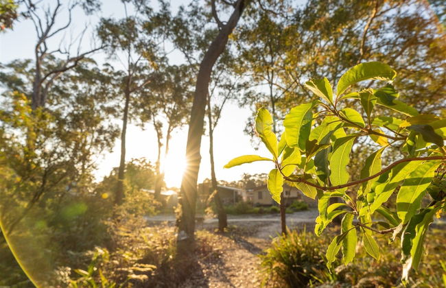 Tasman Holiday Parks - Myola - Foto 1