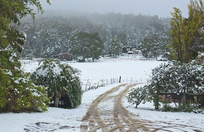 Wisteria Cottage and Cabins - Foto 33