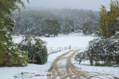 Photo 33 - Wisteria Cottage and Cabins