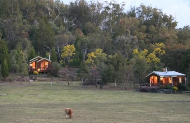 Wisteria Cottage and Cabins - Foto 34