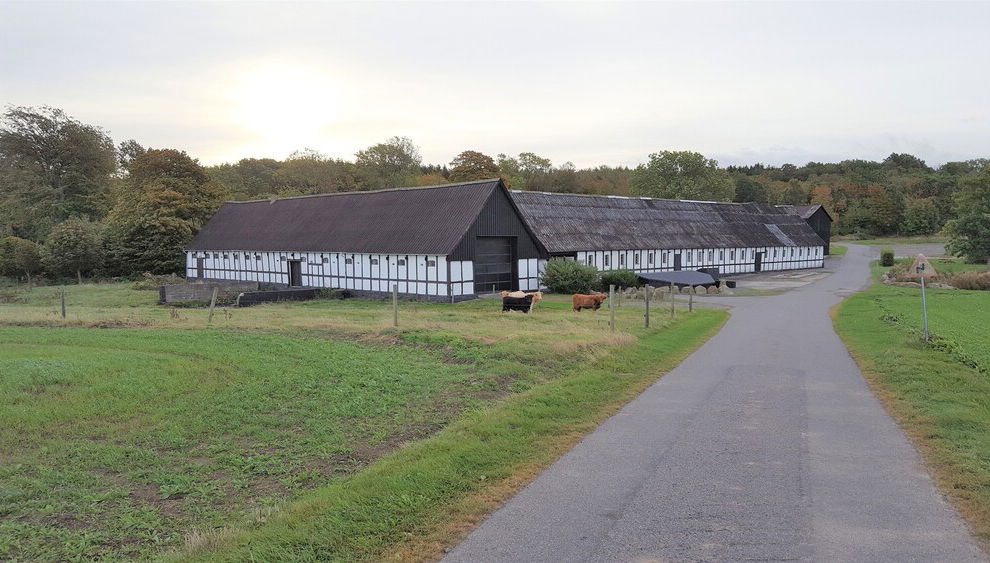 Primary image