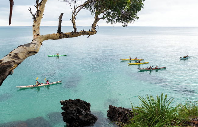 Bay and Bush, Jervis Bay - Foto 45
