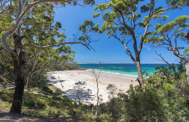 Bay and Bush, Jervis Bay - Foto 56