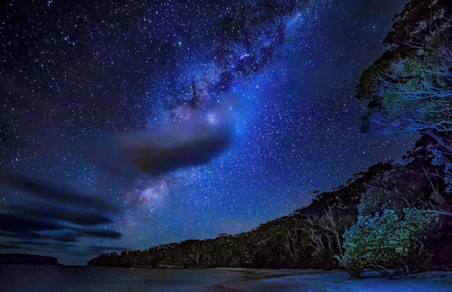 Bay and Bush, Jervis Bay - Foto 47