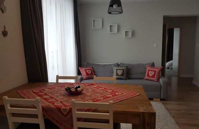 Apartamenty Bory 6a - Foto 16