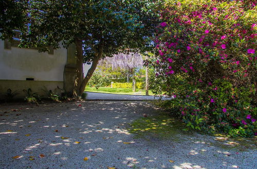 Photo 38 - Liiiving in Ofir - Manor Pool House