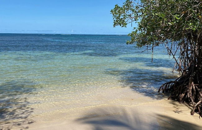Pretty Caribbean Style Villa - Foto 17