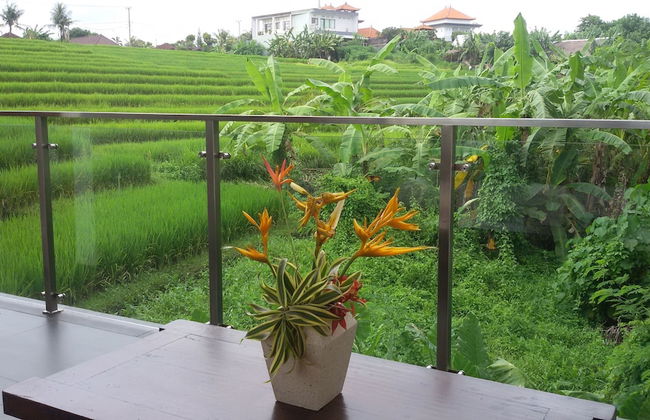 Royal Nyanyi Villa - Foto 2