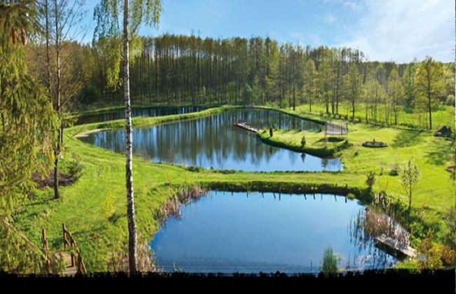 Rustic Riverside Cabin in Forest - Foto 16