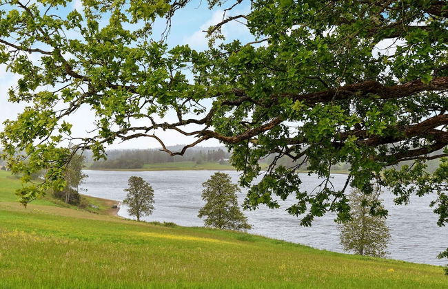 4 Person Holiday Home in Frandefors - Foto 5