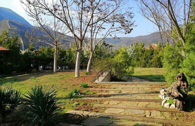 Dream House - Foto 14