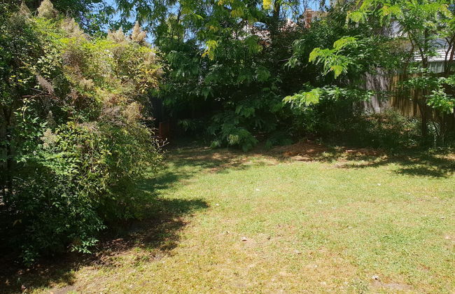 Myers CBD - Foto 19