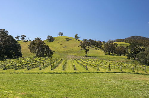 Foto 20 - Blue House at Mountainside Wines