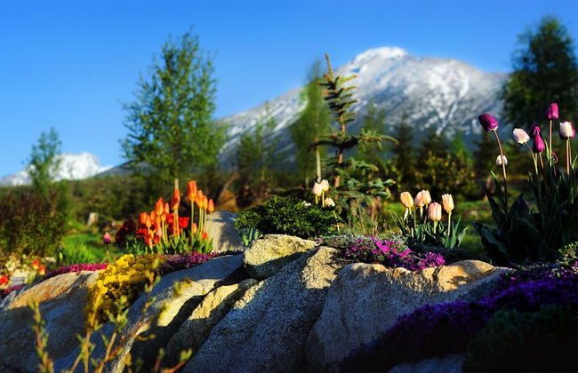 panoraMic Mountain Residence - Foto 32
