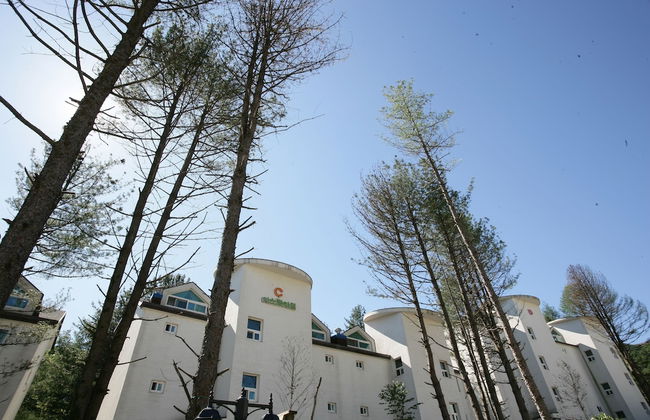 Eastern Vill - Photo 34