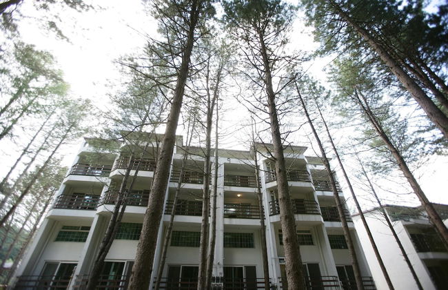 Eastern Vill - Photo 35