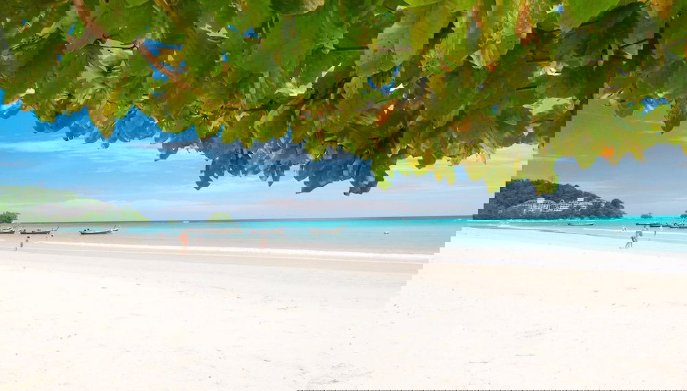 Imagem principal