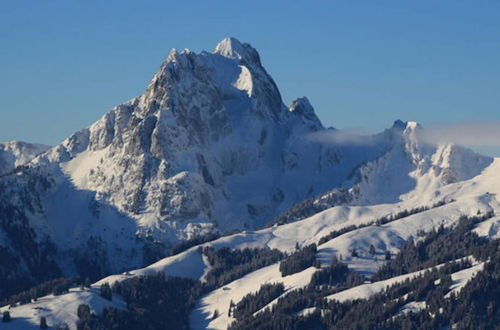 Foto 1 - Gstaad Switzerland Skiing From Exclusive Rougemont Chalet Apartment