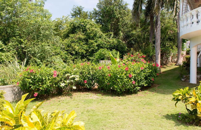 Villa Roma - Foto 18
