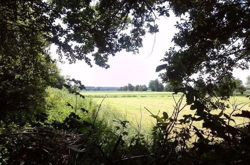 Photo 22 - Quaint Farmhouse in Waskemeer near Forest