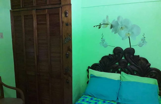 Room in B&B - Cancun Guest House 6 - Photo 3