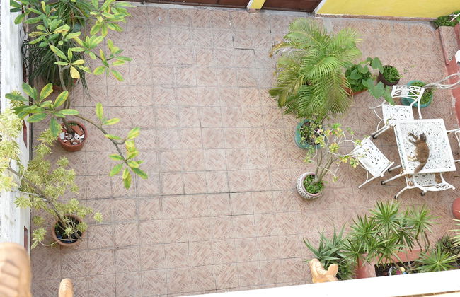 Room in B&B - Cancun Guest House 6 - Photo 20
