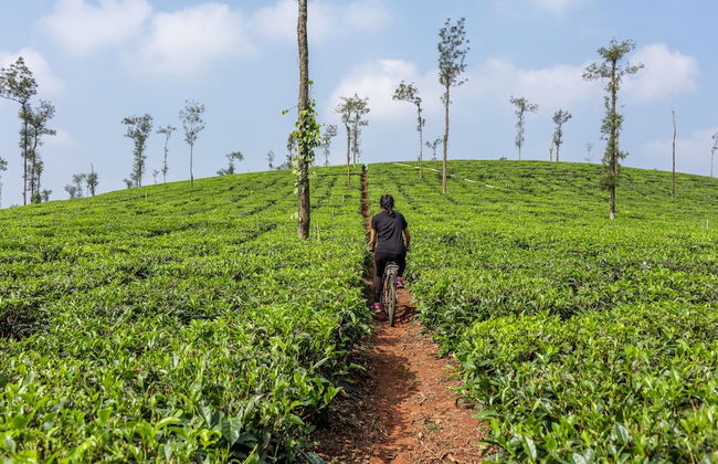 Ama Plantation Trails , Coorg - Foto 75