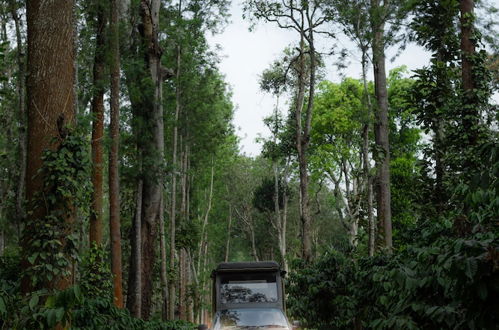 Photo 74 - Ama Plantation Trails , Coorg