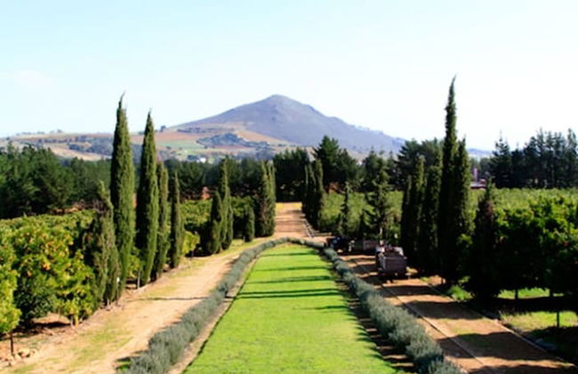 Marianne Wine Estate - Foto 34