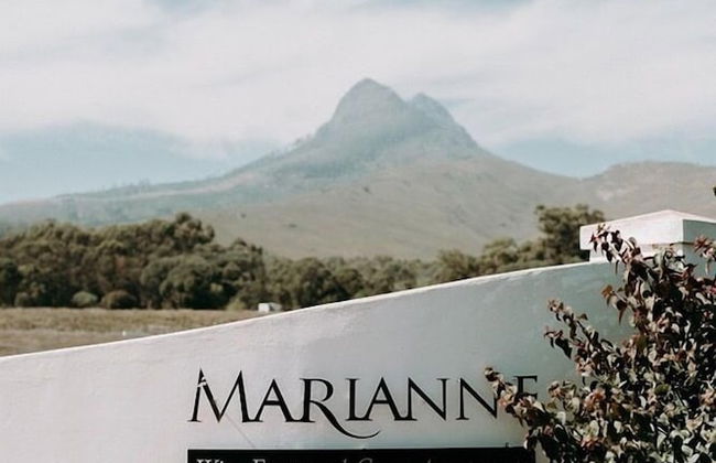 Marianne Wine Estate - Foto 1
