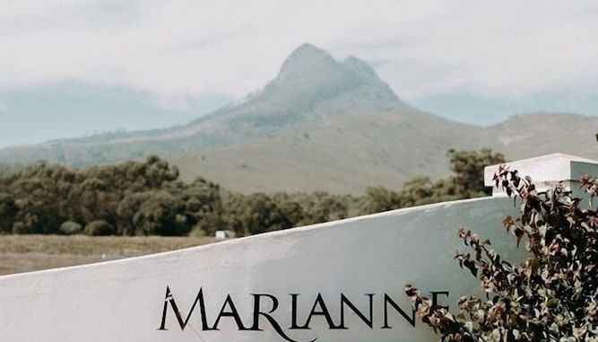 Photo 1 - Marianne Wine Estate