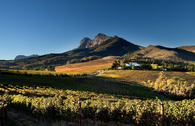 Marianne Wine Estate - Foto 45