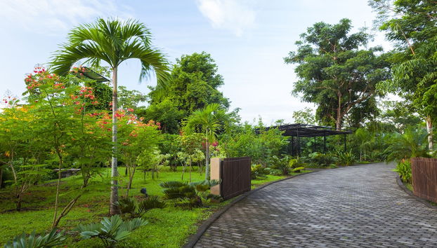 Entrada (vista interior)