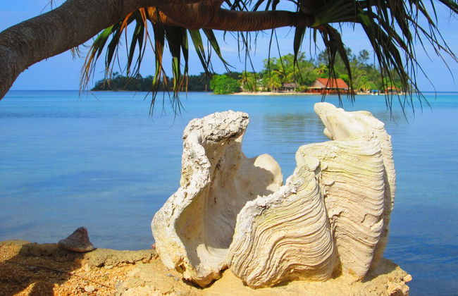 Troppo Mystique - Photo 62