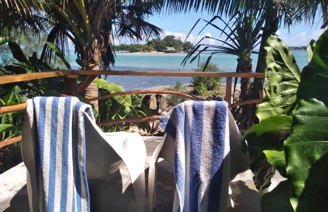 Troppo Mystique - Photo 22