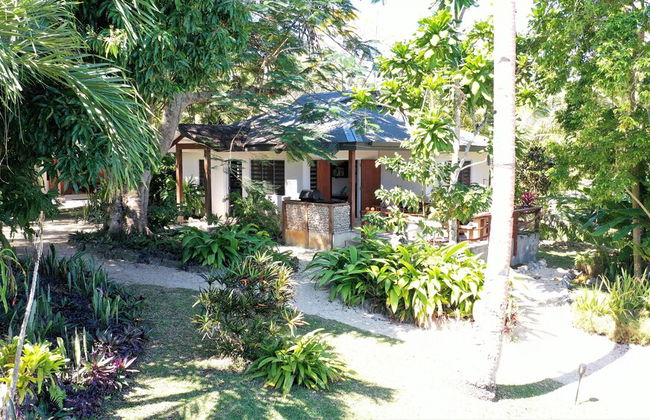 Troppo Mystique - Photo 58