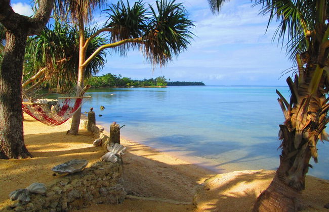 Troppo Mystique - Photo 43