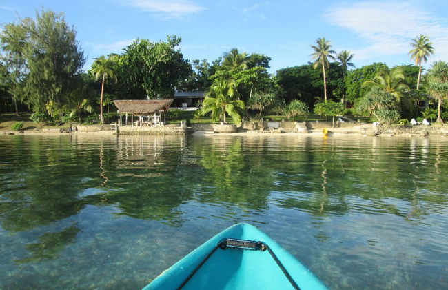 Troppo Mystique - Photo 36