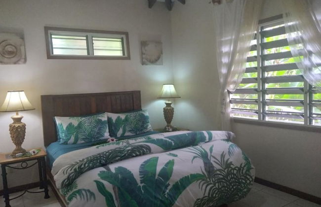 Troppo Mystique - Photo 5