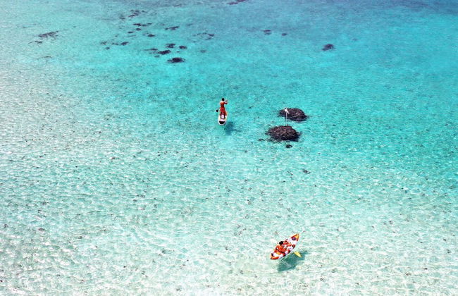 Troppo Mystique - Photo 38