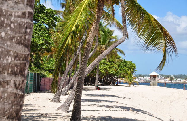 Résidence Tropicale - Foto 45