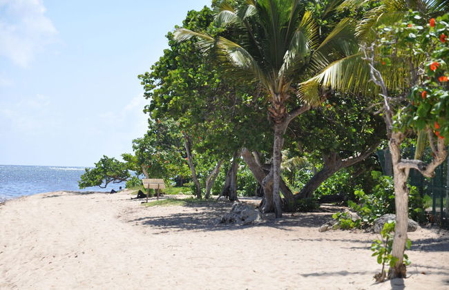 Résidence Tropicale - Foto 41