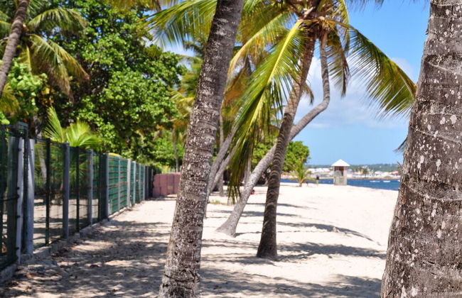 Résidence Tropicale - Foto 43