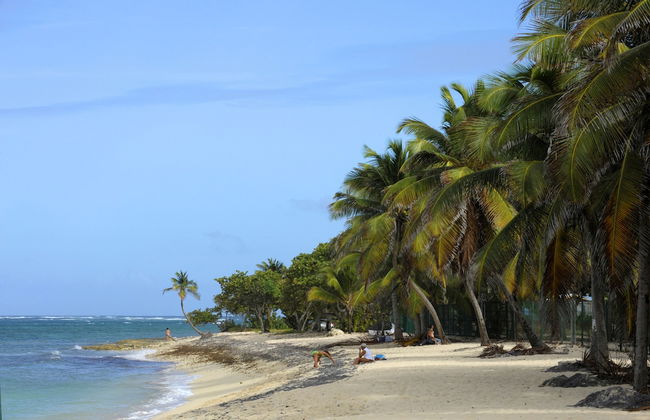 Résidence Tropicale - Foto 44