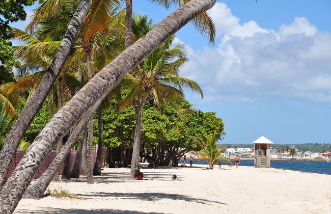 Résidence Tropicale - Foto 42