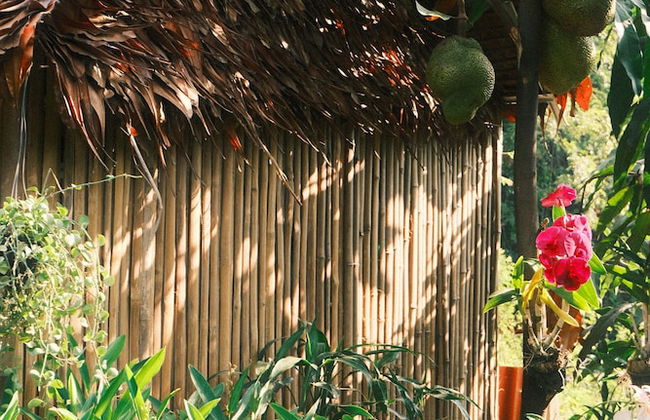 Siem reap Homesteading II - Foto 56